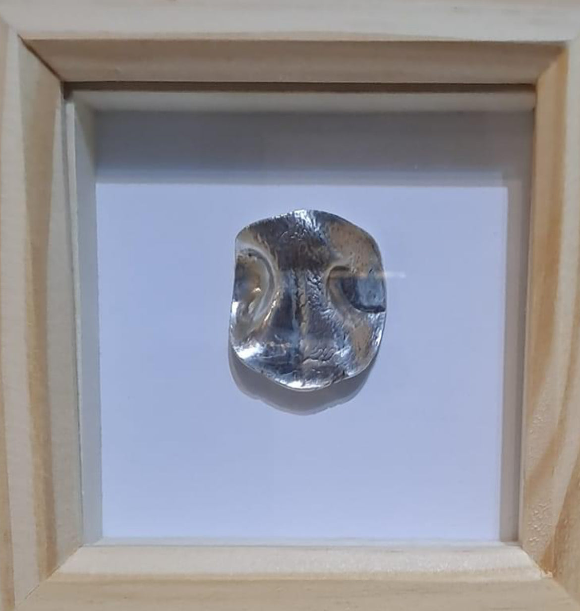 Animal Nose Frame