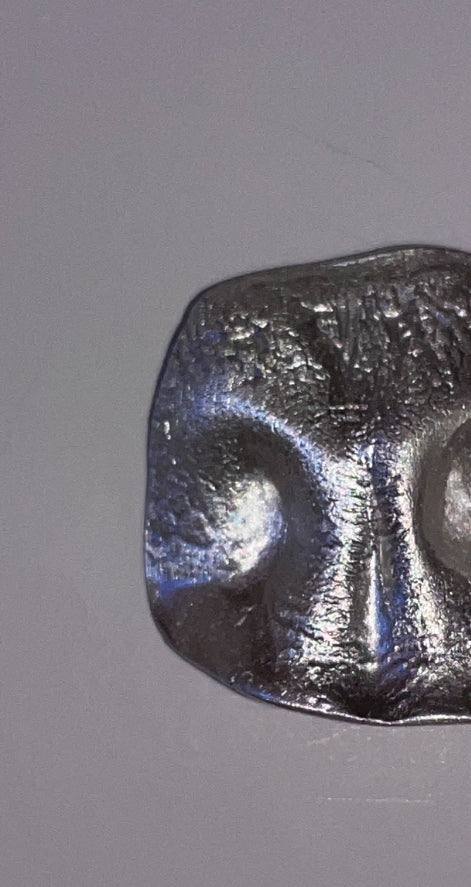 Animal Nose Keyring