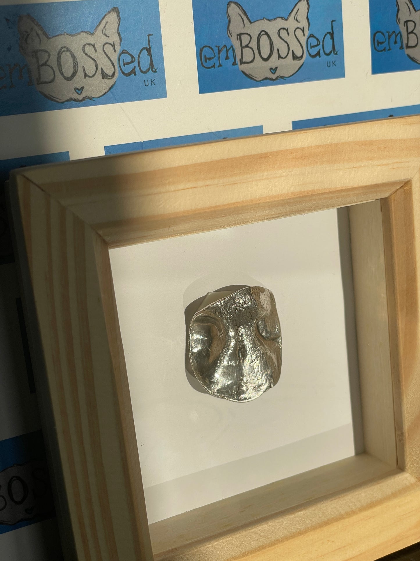 Animal Nose Frame